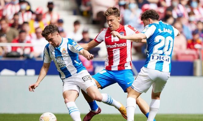 仅为海港富 仅为海港富